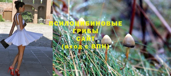 ПСИЛОЦИБИНОВЫЕ ГРИБЫ Балабаново