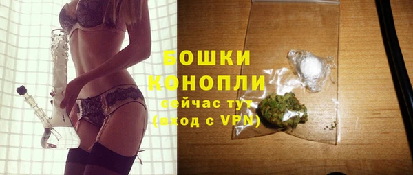 ГАЛЛЮЦИНОГЕННЫЕ ГРИБЫ Переславль-Залесский